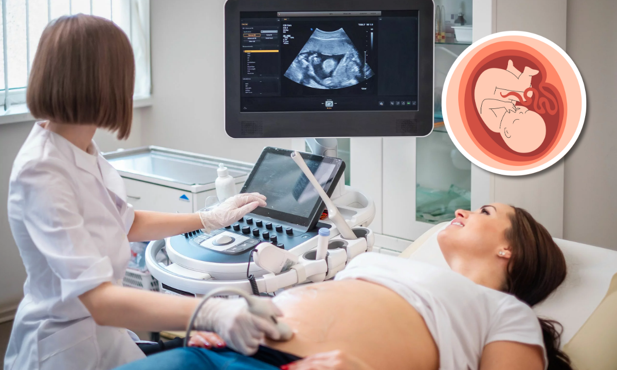 ¿Cómo elegir el doctor ideal para el parto?