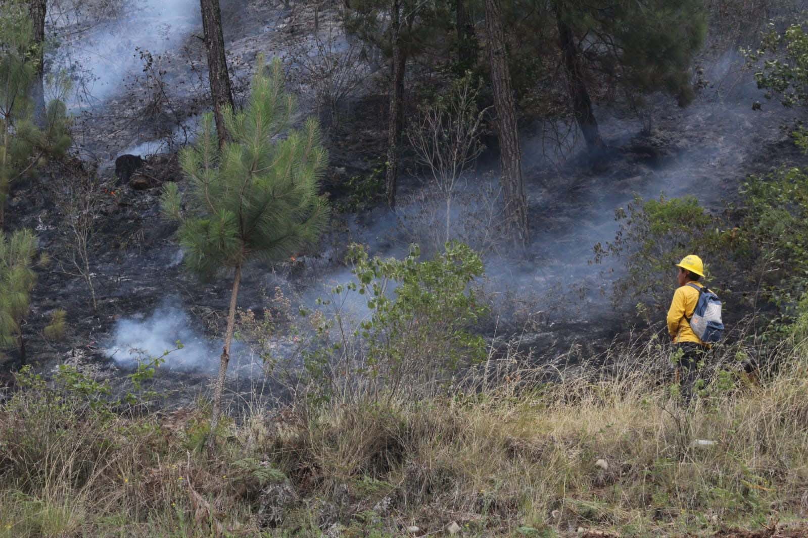 Suman 268 incendios forestales en Durango, sequía y altas temperaturas han elevado riesgo