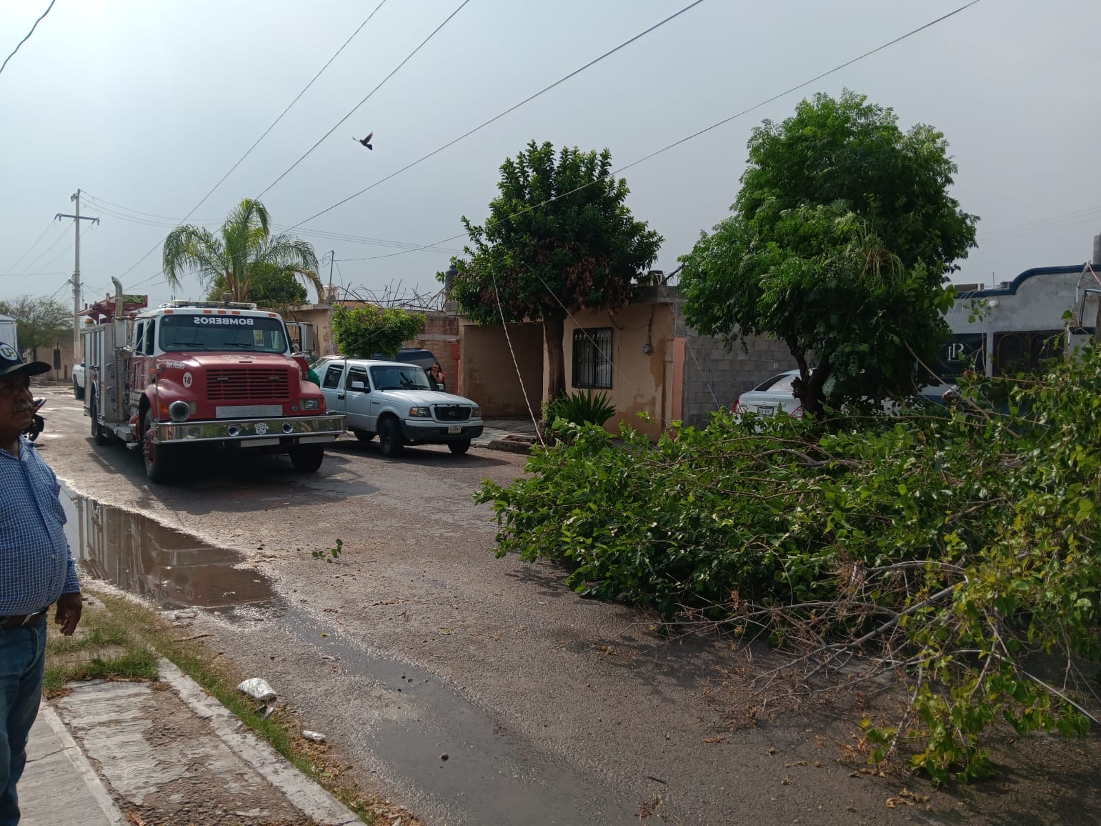 Autoridades de San Pedro reportan daños mínimos por la lluvia de la tarde del miércoles