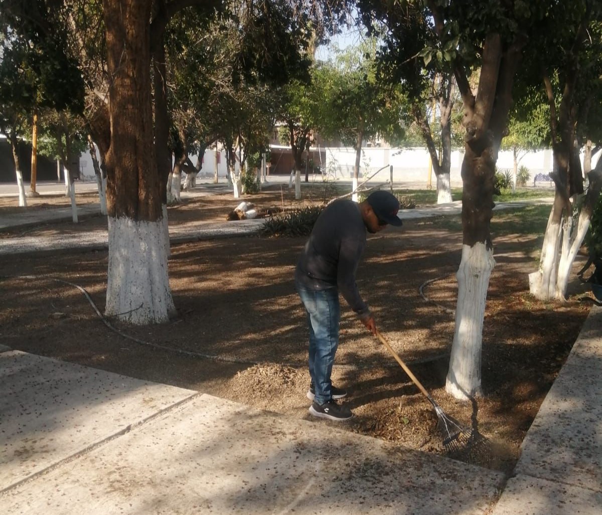 Realizan trabajos de limpieza en el Fraccionamiento del Bosque de Gómez Palacio