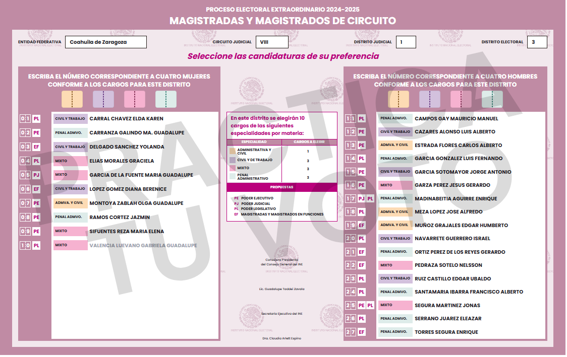 ¿Quiénes son y de dónde viene la nominación de los magistrados en Coahuila?