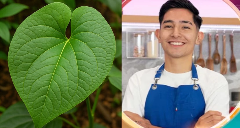 Hoja santa / Isaías Espinoza (ESPECIAL)