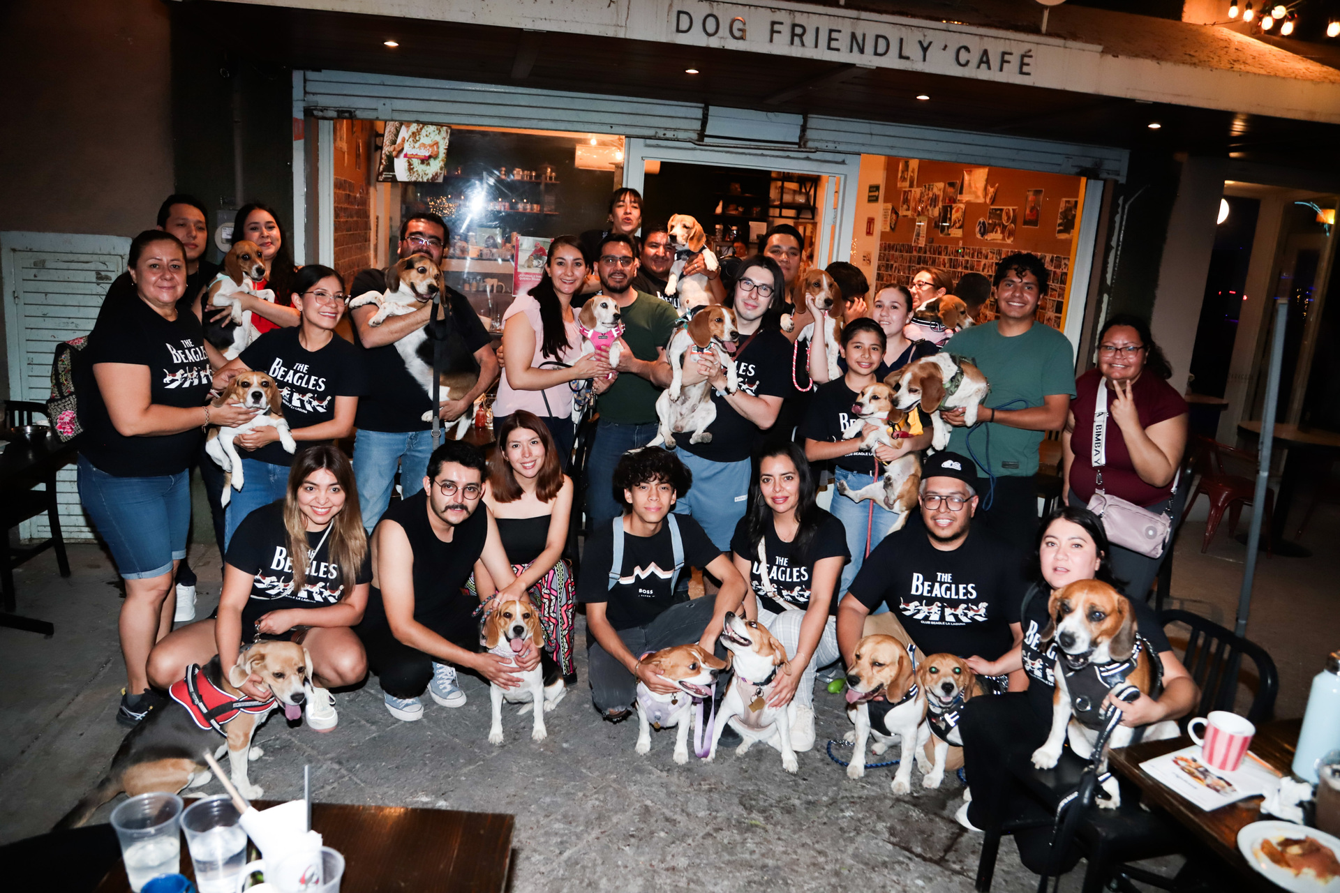 Celebran reunión de beagles en Torreón