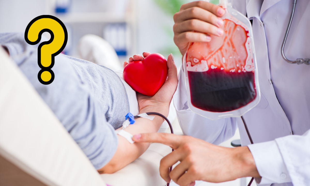 ¿Vas a donar sangre para un familiar o amigo?; aquí el paso a paso
