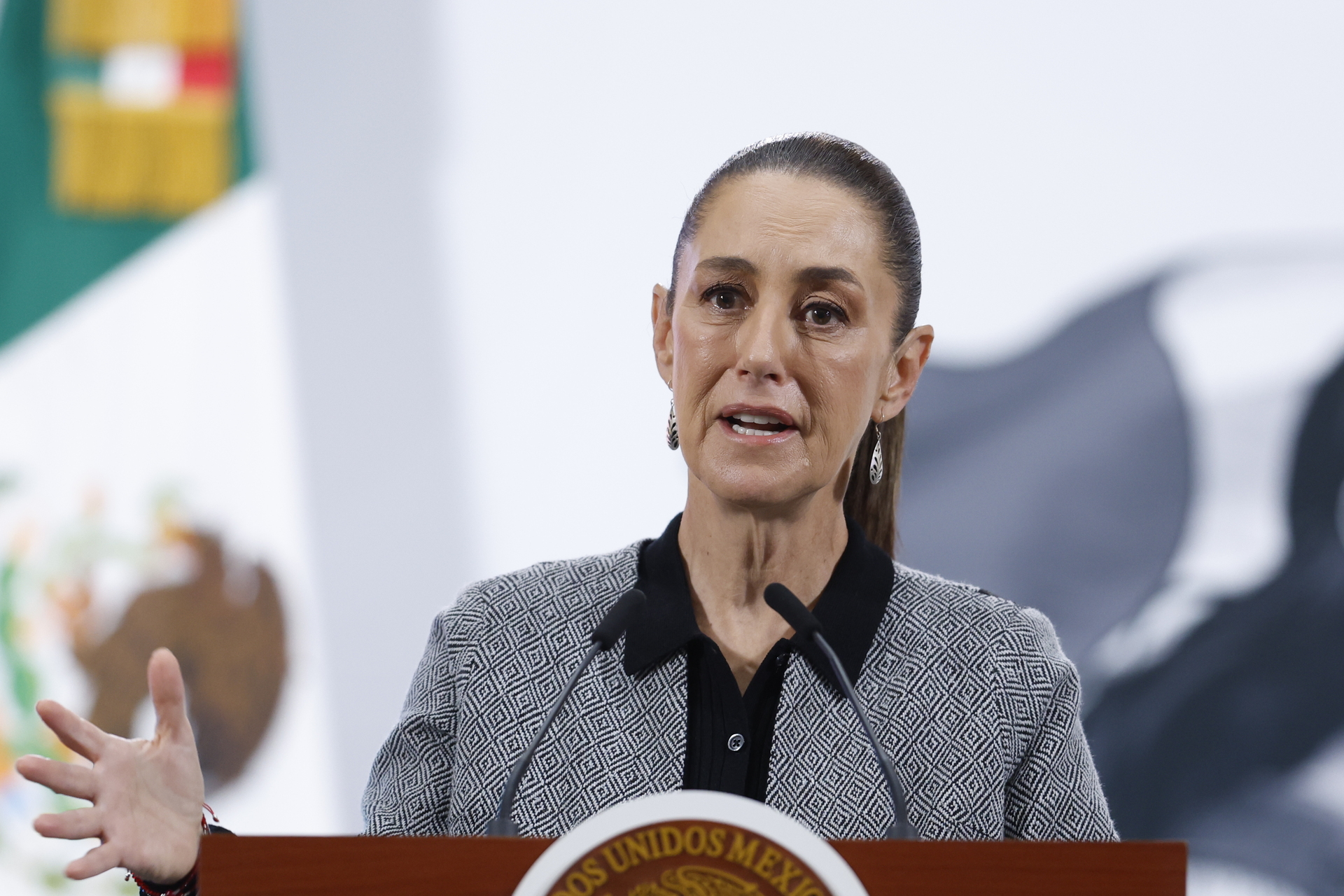 Mandataria federal reiteró que su gobierno seguirá insistiendo en la extradición de ciertos narcotraficante. (ARCHIVO)