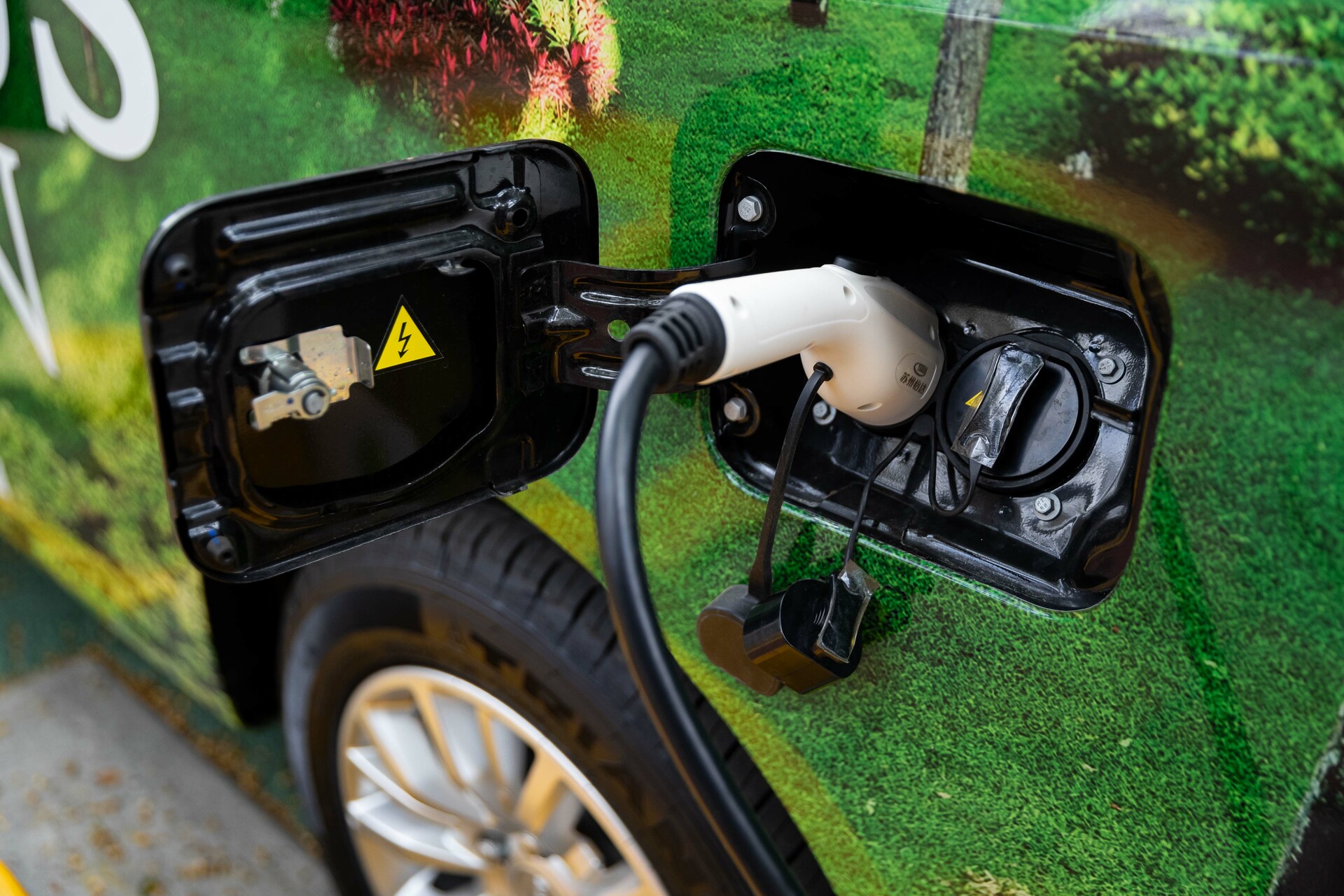 Autos eléctricos se posicionan en México, ¿Cómo han ganado terreno?