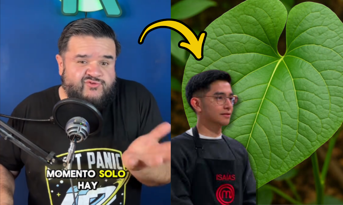 ¿Qué tan peligrosa es la hoja santa? Una planta medicinal envuelta en controversia | VIDEO