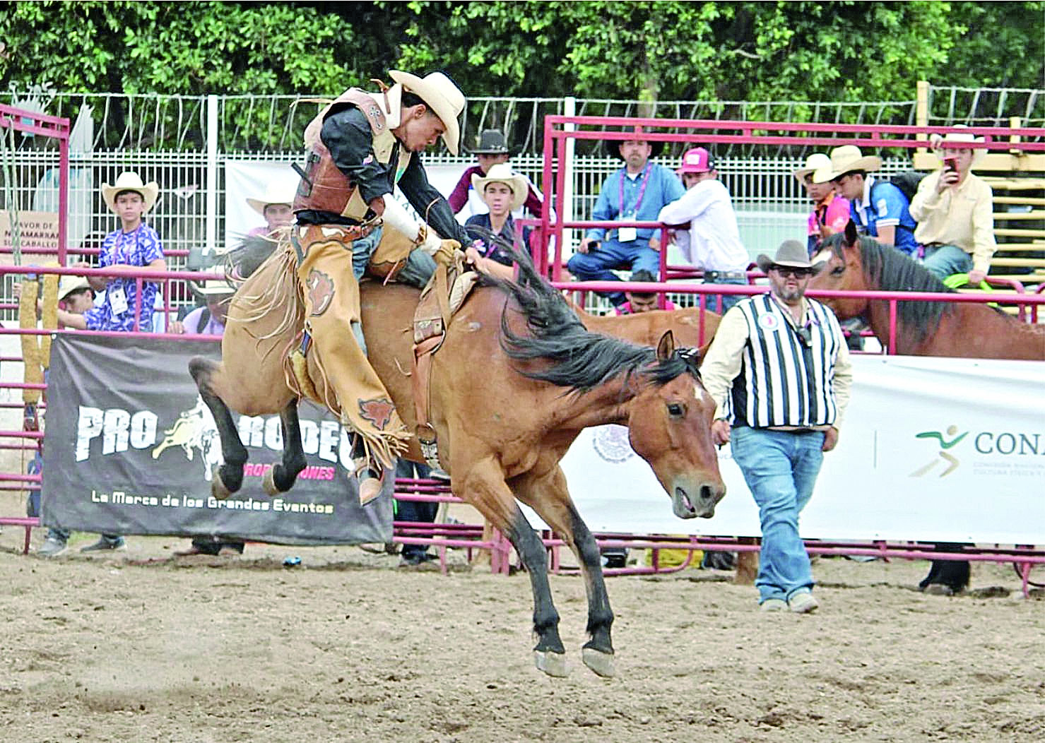 Luego de varios días de intensa actividad, el representativo de Durango
en rodeo, obtuvo subcampeonato en el jineteo de caballo con pretal. (IED)
