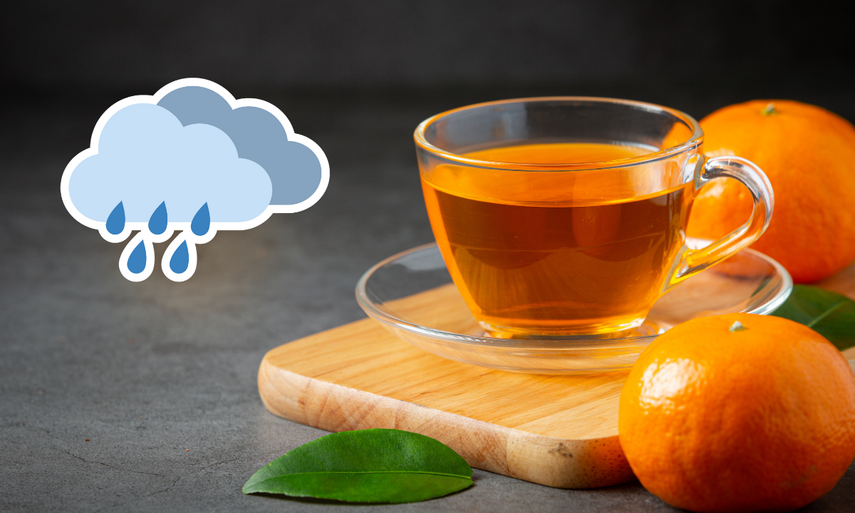 Recetas de té para cuidar tu salud en días de lluvia