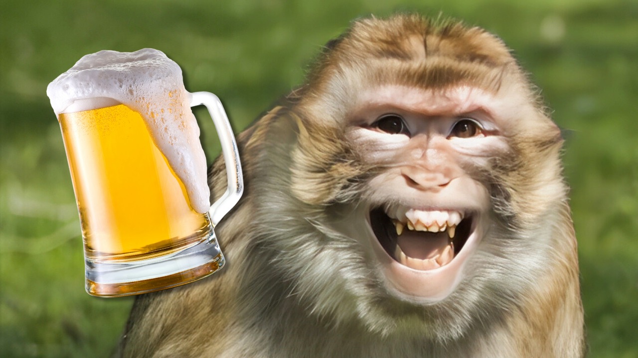 5 animales que se “emborrachan” a propósito y tal vez no sabías ¿Cómo lo logran?