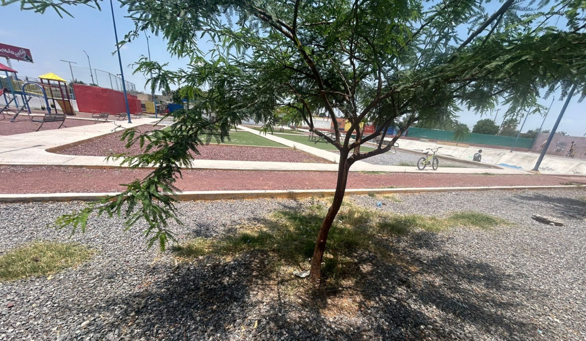 Realizan limpieza en espacios deportivos de San Pedro