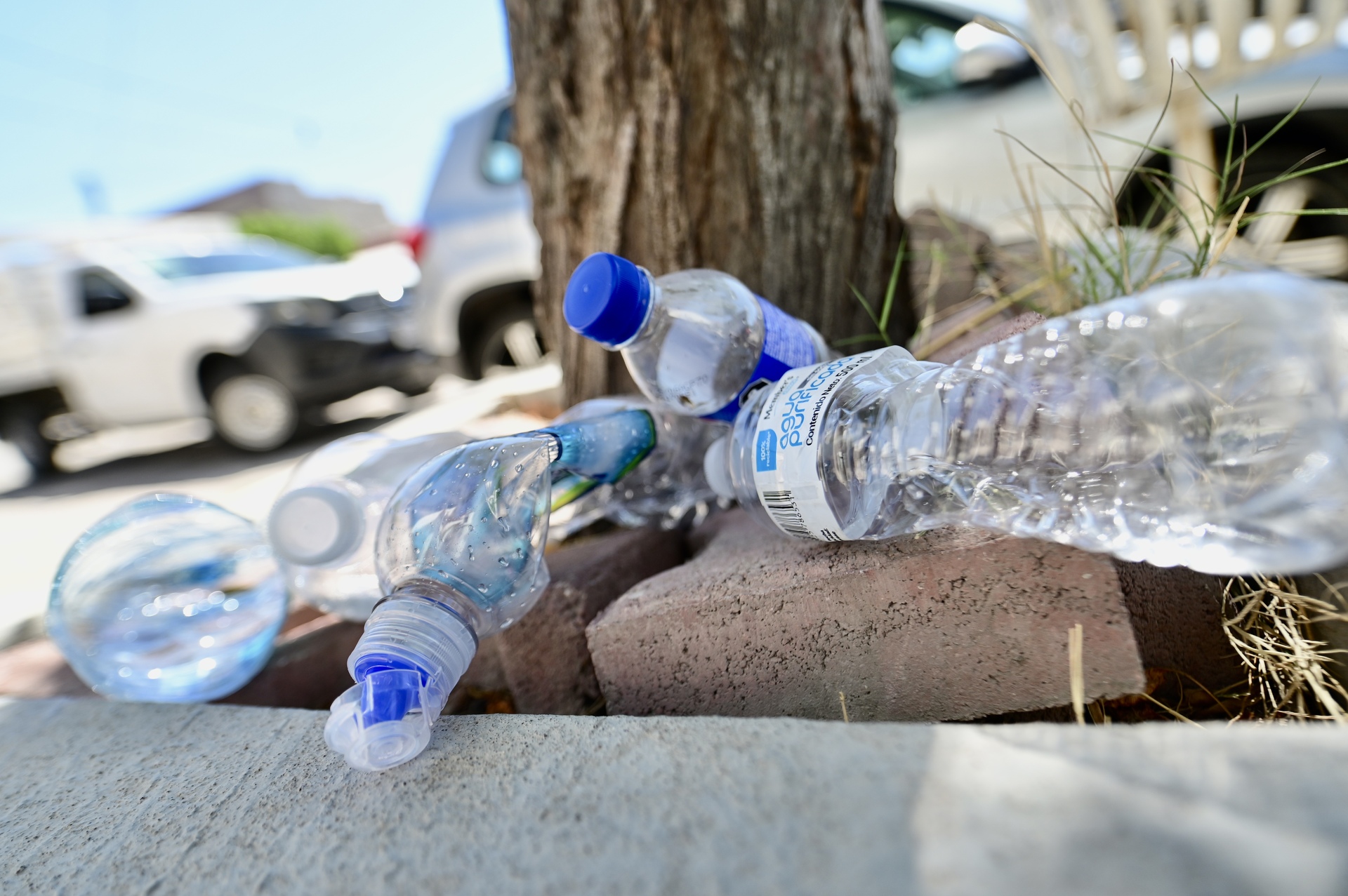 México es el país con mayor consumo de agua embotellada en el mundo; en contraparte, es mínimo el manejo adecuado que reciben los desechos plásticos generados. (EL SIGLO DE TORREÓN)
