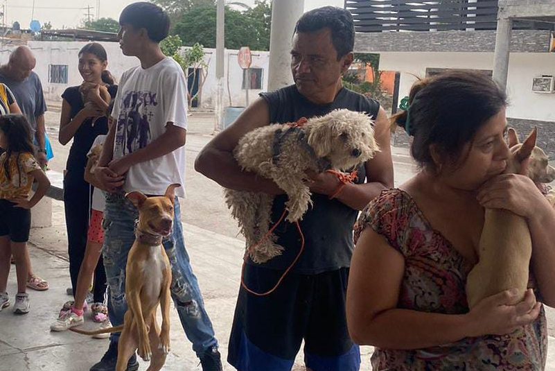 Brigada de Salud. Este viernes 6 de junio se instalarán en el kiosco del corredor de la colonia Las Cruces para ofrecer servicios gratuitos como esterilización, vacunación antirrábica y desparasitación. (FOTOS: CORTESÍA)