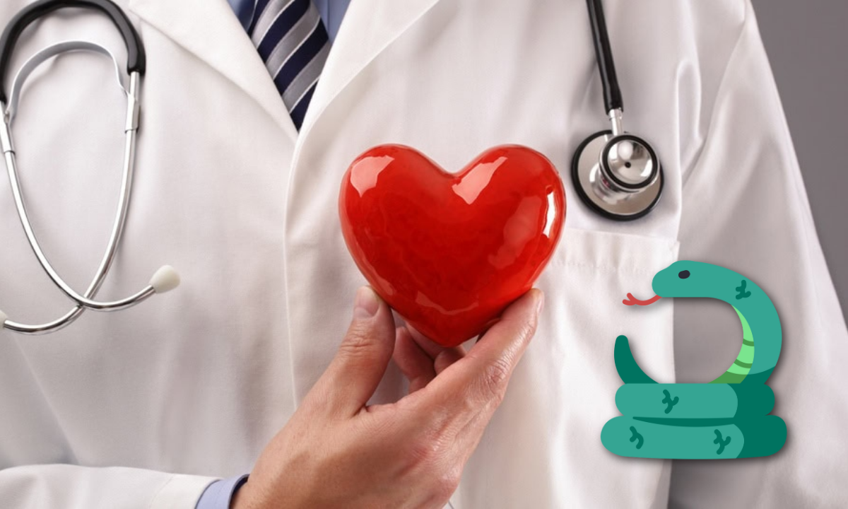 ¿Por qué la serpiente es símbolo de la medicina moderna?