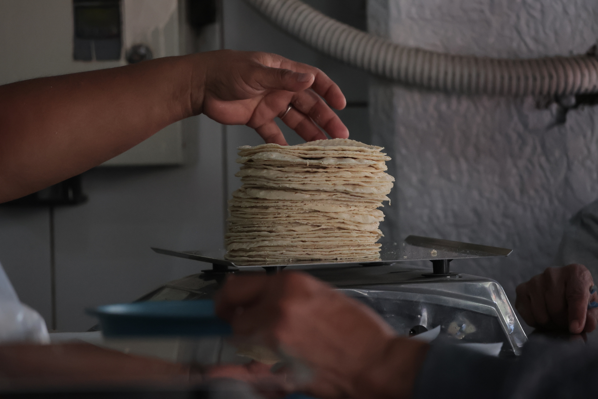 Precio de tortilla en La Laguna,'por las nubes'; gobierno federal busca reducir costo