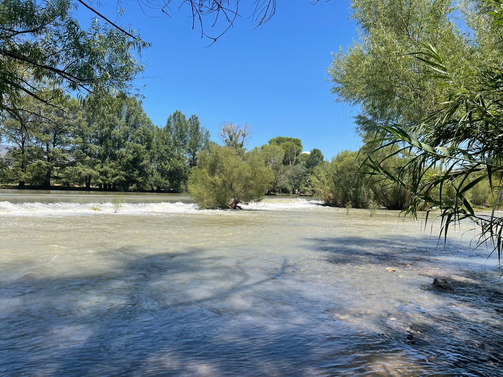 Suman 5 muertos por ahogamiento; Protección Civil llama a no nadar en parajes del Río Nazas