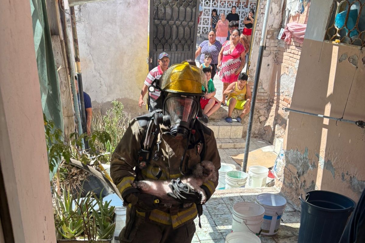 Bomberos rescatan a un perrito de casa incendiada en la colonia Victoria de Torreón
