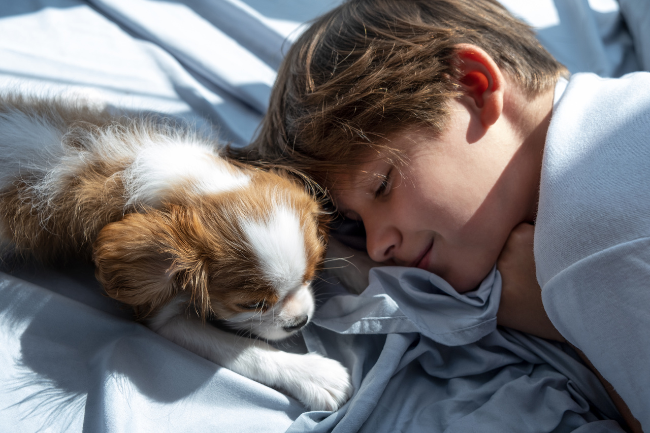 Crecer al lado de un perro no solo brinda compañía y ternura, también fortalece el sistema inmunológico, estimula la empatía y promueve hábitos saludables en la infancia.