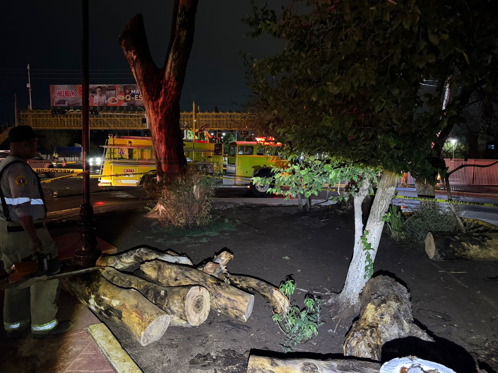 Lluvias provocaron caída de árbol en bulevar Miguel Alemán
