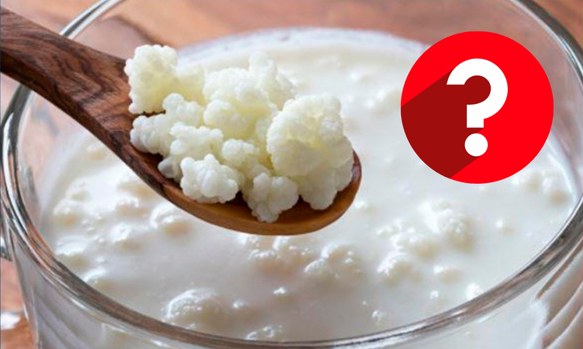 Qué tan saludables son los búlgaros de leche