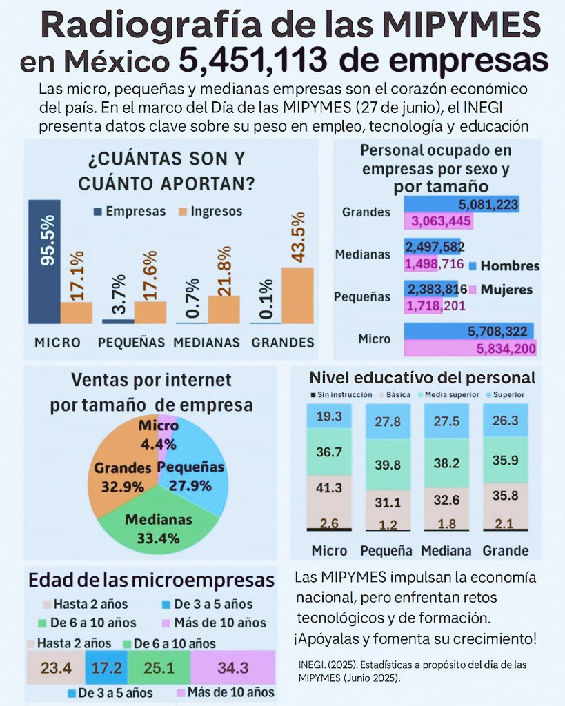 Mipymes en México: el motor del empleo y la actividad económica