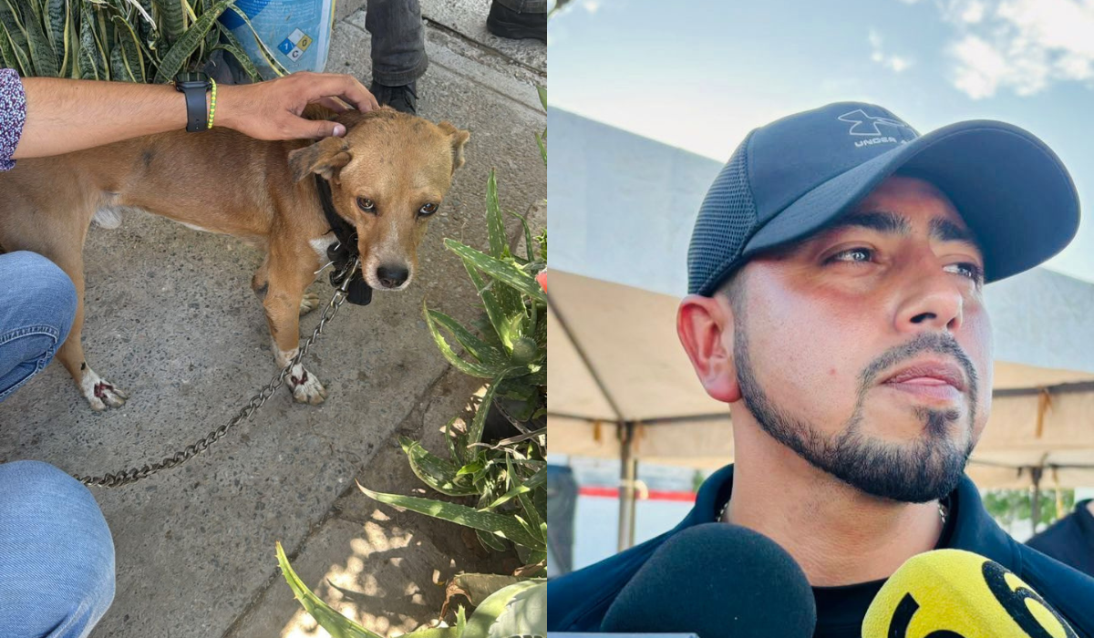 Detienen en Torreón a hombre acusado de maltrato animal
