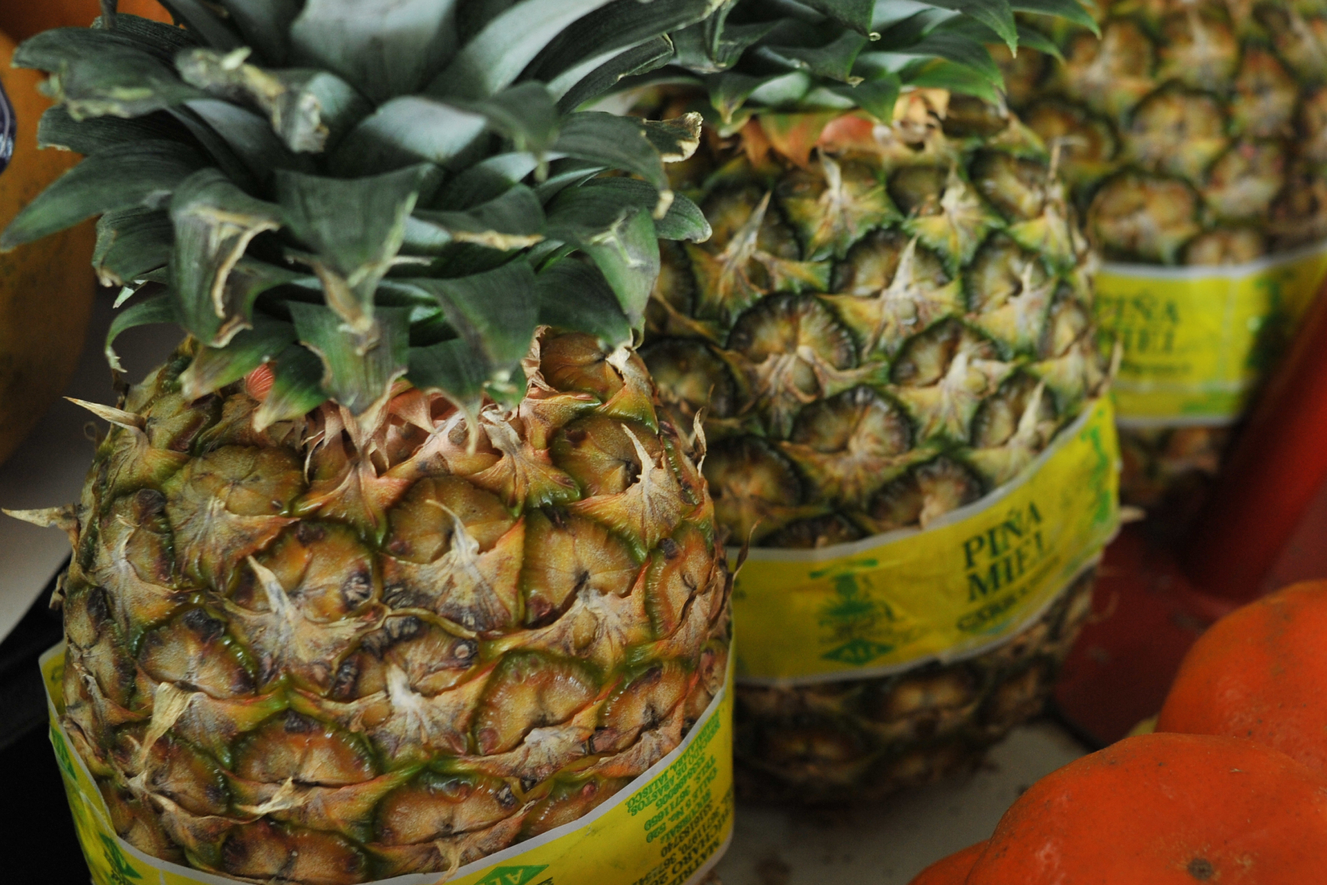 Frutas que nutren y cuidan el bolsillo: Profeco informa sobre los precios de piña, papaya y sandía