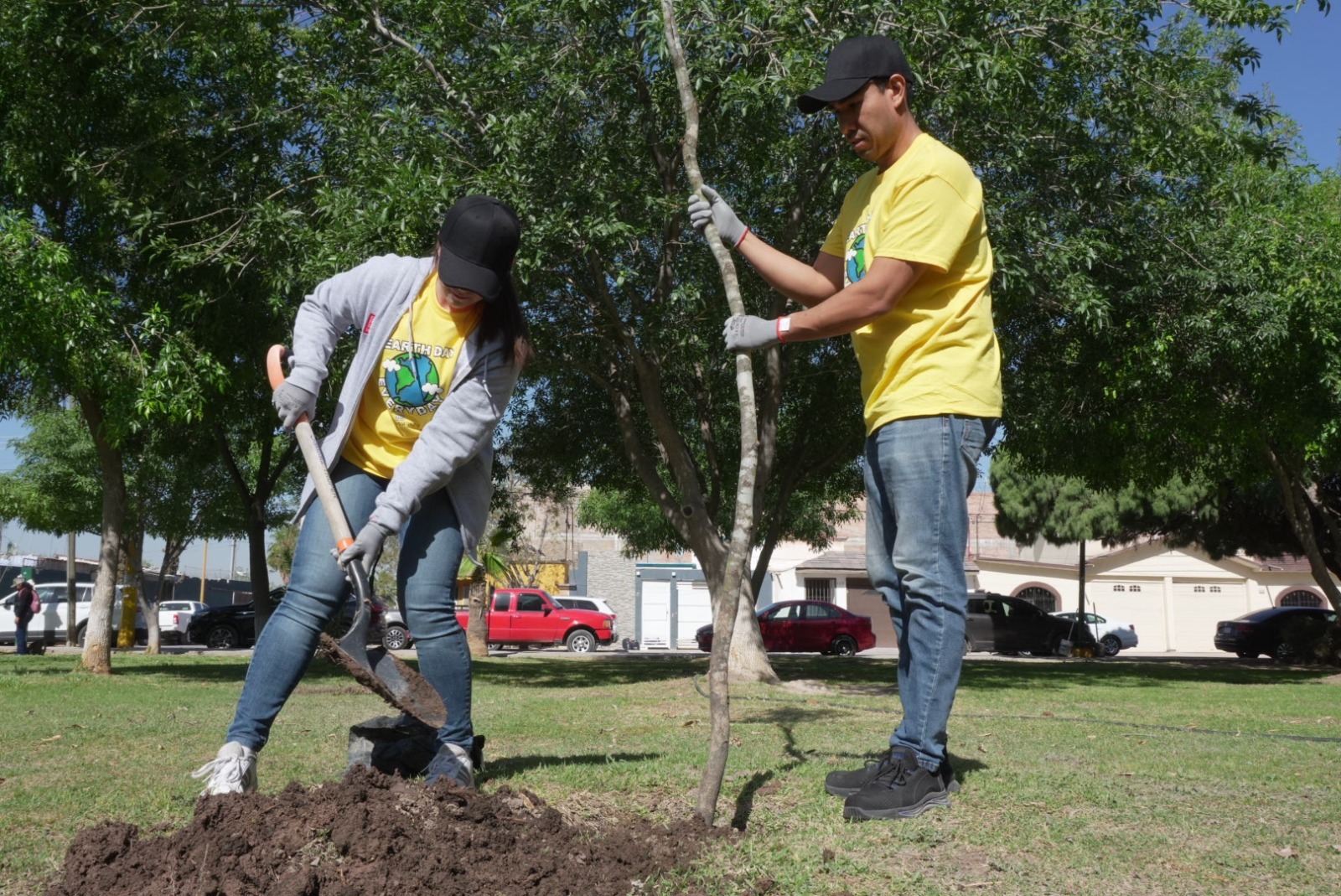 Ciudadanía y gobierno siembran futuro verde con más de 2,500 árboles plantados en 2025 en Torreón