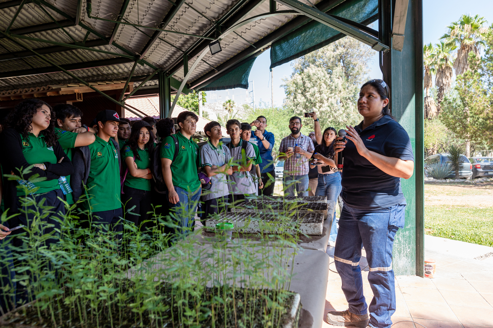 Peñoles impulsa la reforestación en La Laguna y el país
