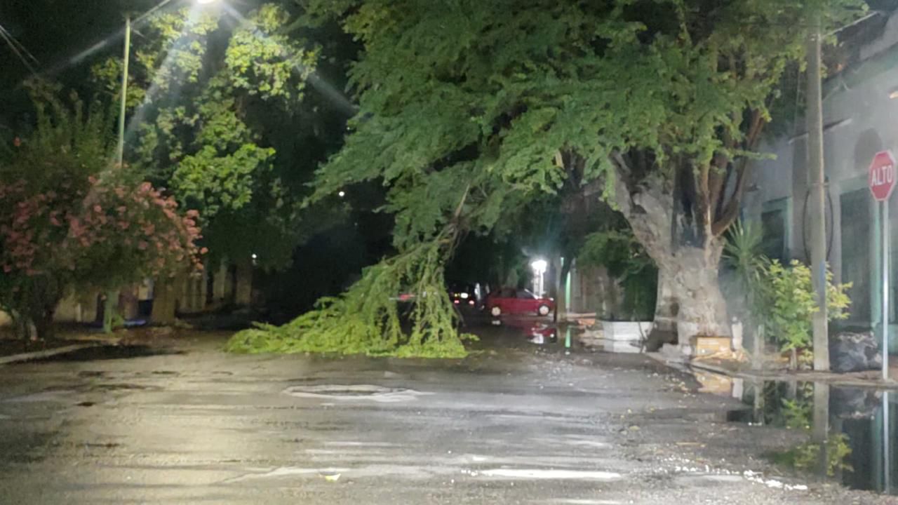 Sin afectaciones graves tras las lluvias del domingo en Gómez Palacio