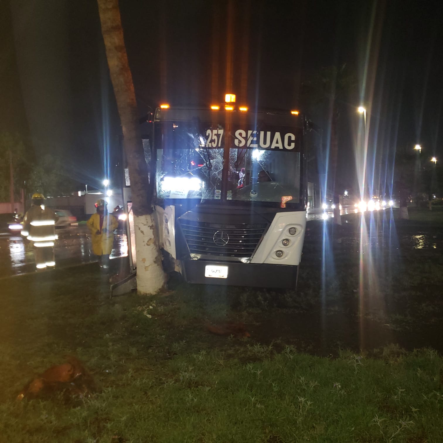 Autobús de pasajeros se impacta contra palma en el Cinturón Ecológico de Gómez Palacio