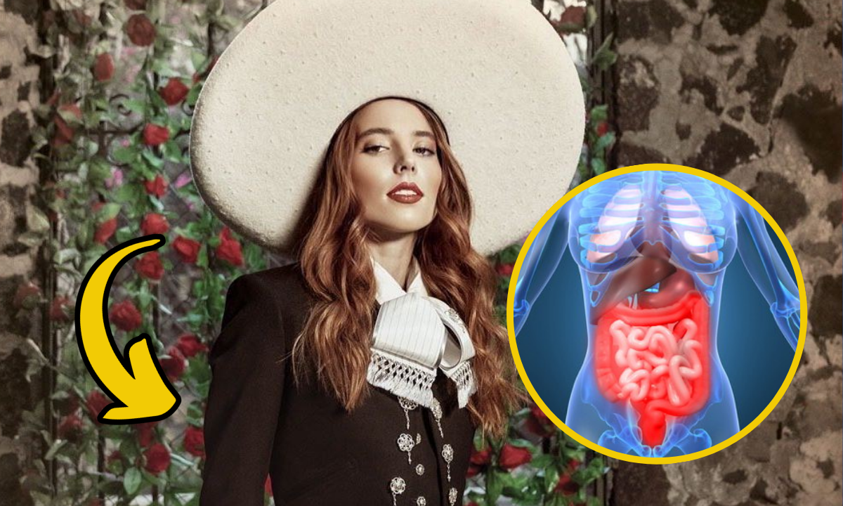 ¿Qué es una crisis gastrointestinal?; lo que padeció Majo Aguilar
