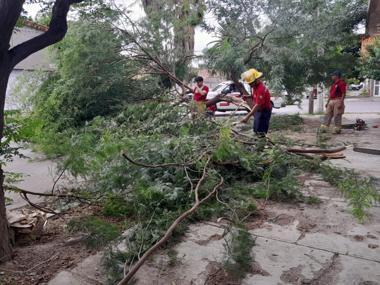 En Gómez Palacio Protección Civil no registró afectaciones graves por lluvias