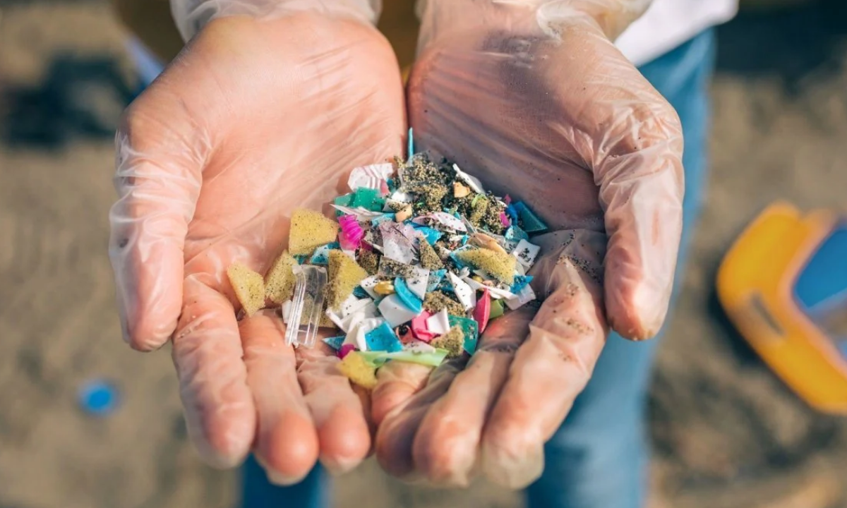 Los microplásticos se encuentran ya en los fluidos reproductivos humanos