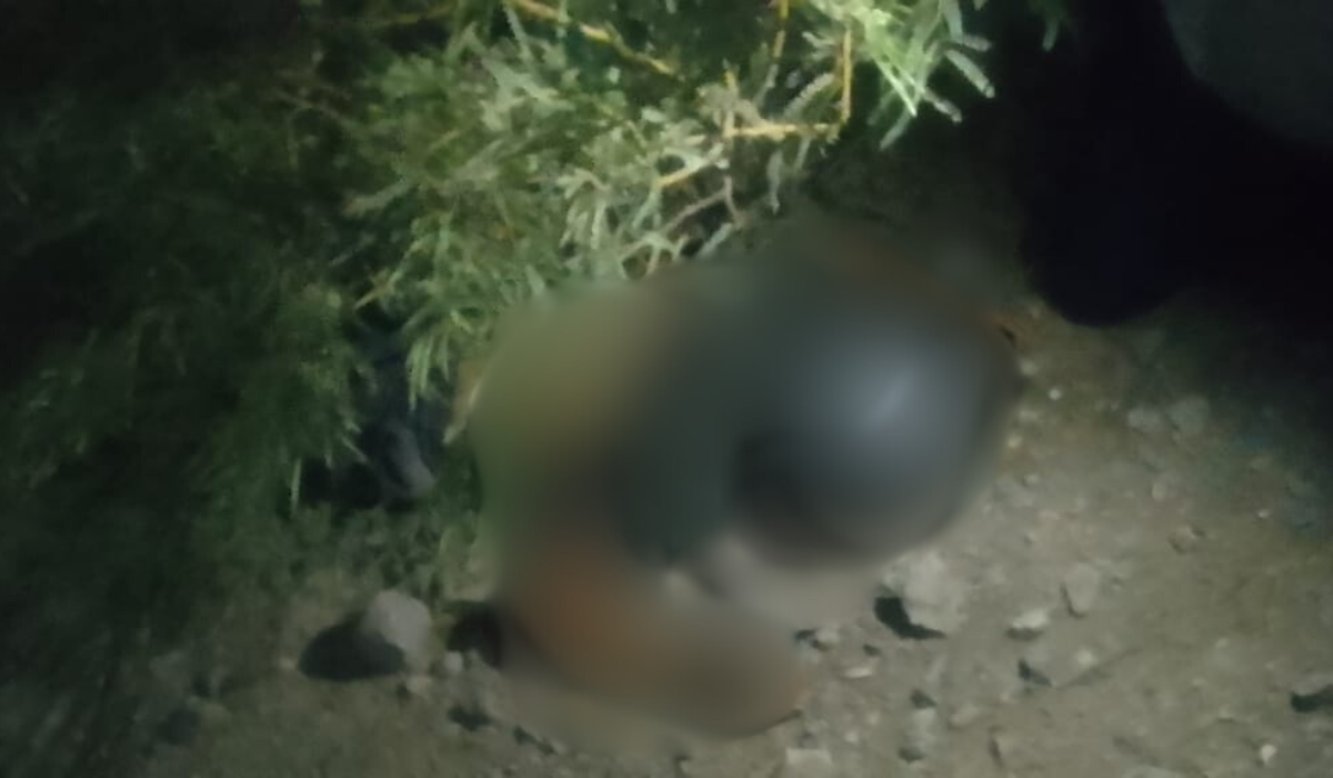 Motociclista pierde la vida al derrapar en la carretera federal de San Pedro