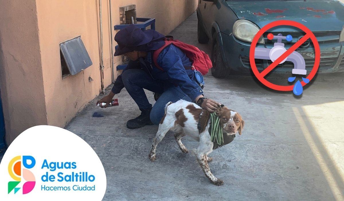 Conoce a Manchas, el querido perro de AgSal que detecta fugas de agua | FOTOS