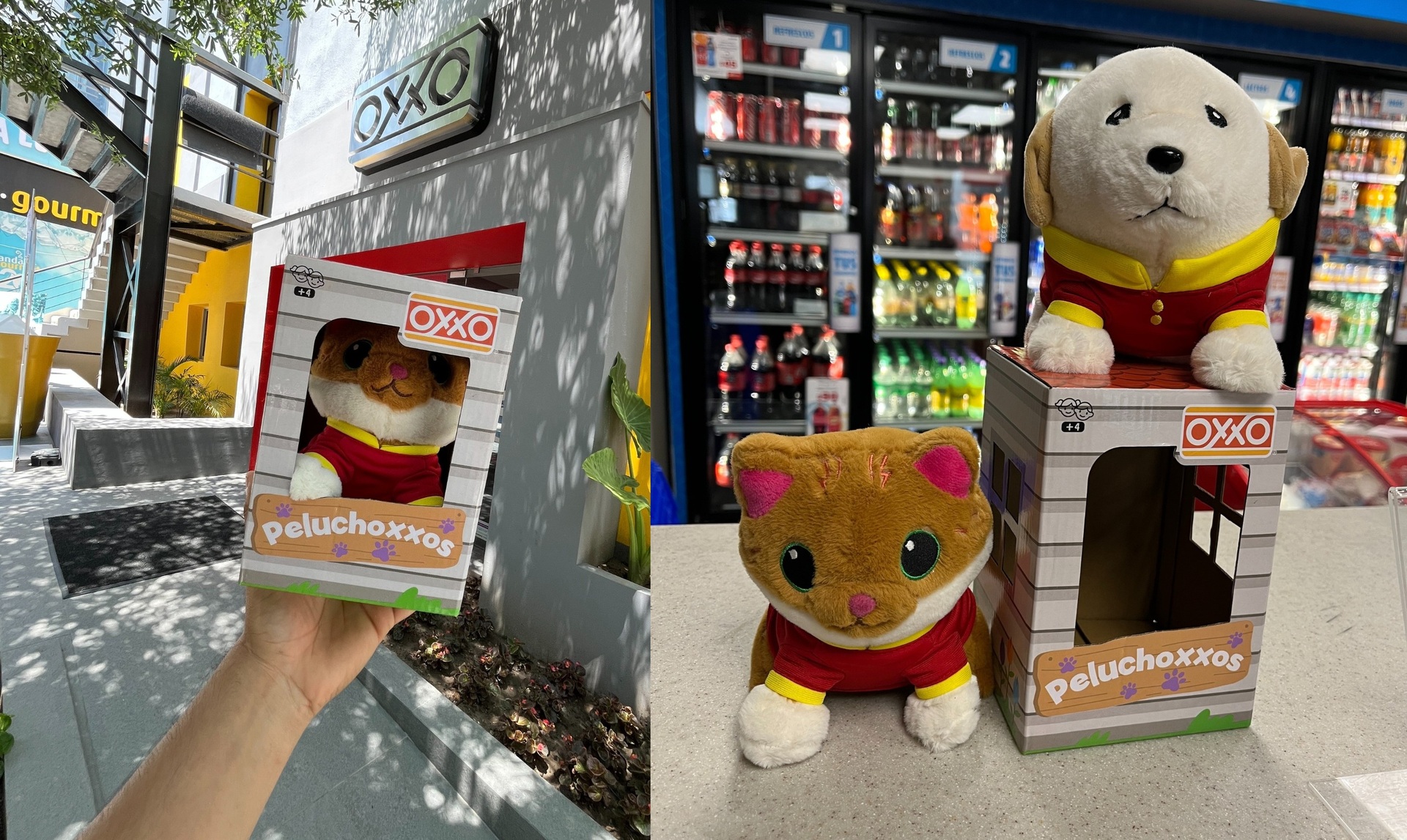 Peluchoxxos (ESPECIAL)