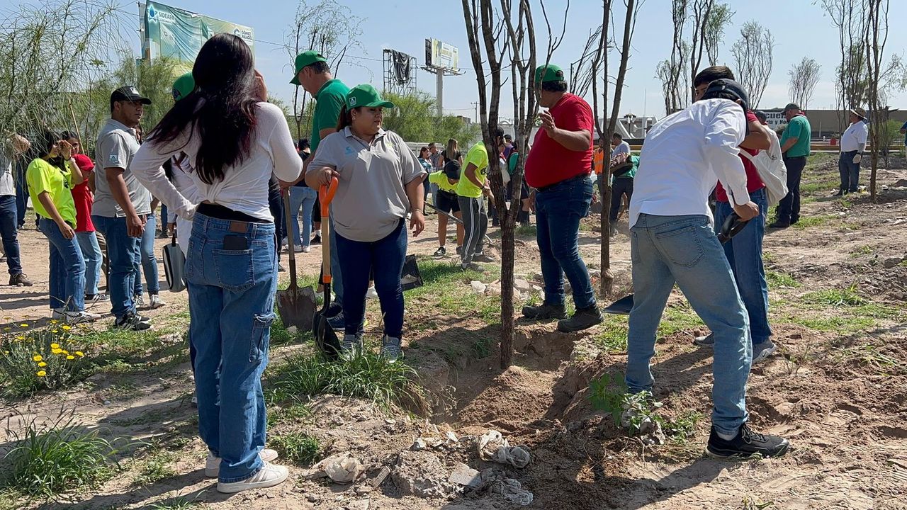 Realizan jornada especial para conmemorar el día del Árbol.