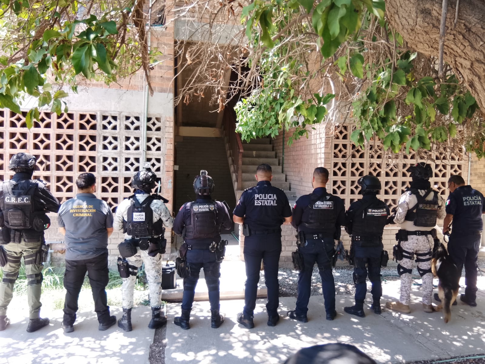 Aseguran 17 kilos de marihuana, cocaína y vapeadores en vivienda de Torreón