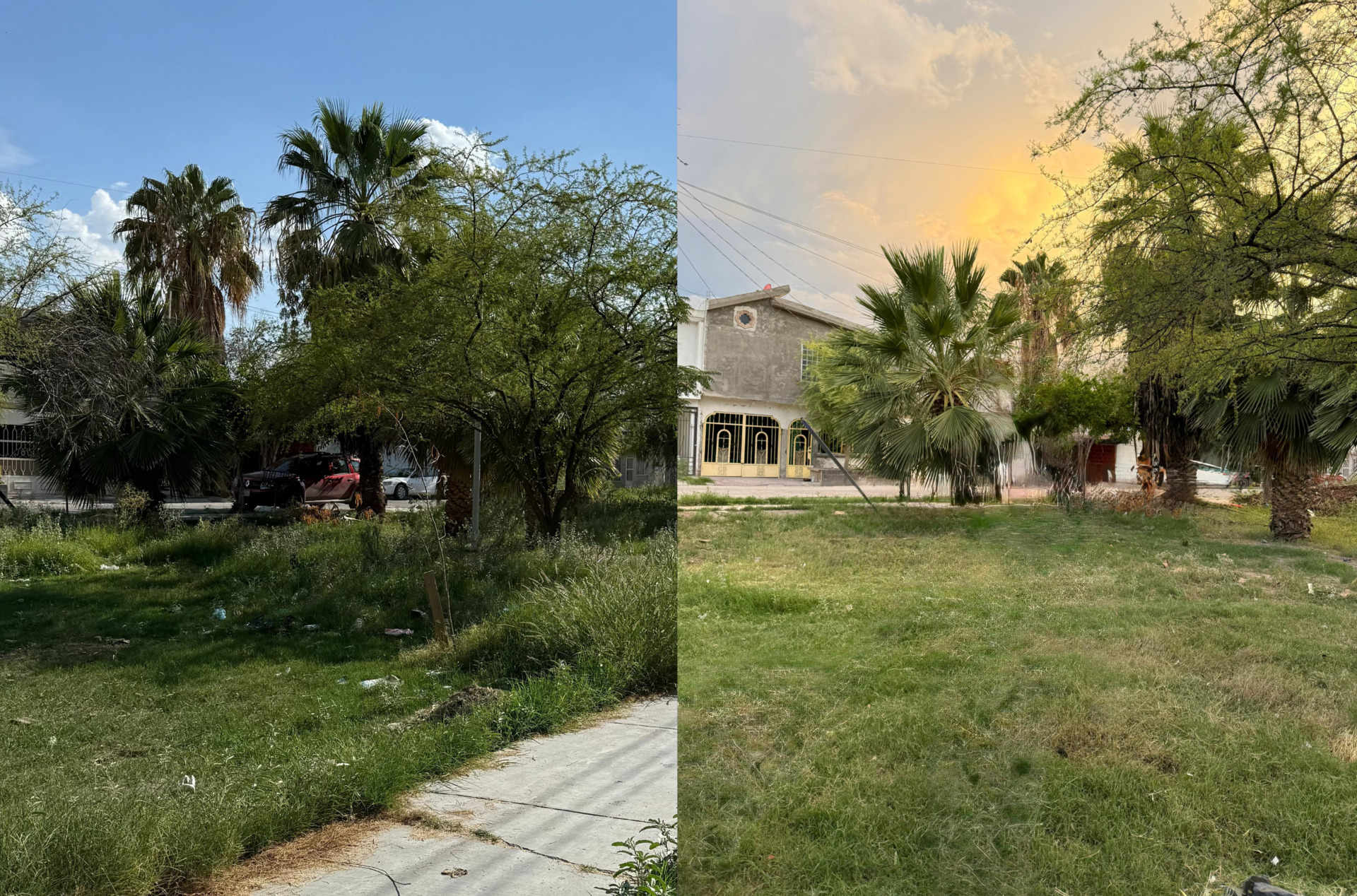 EL SIGLO DE TORREÓN