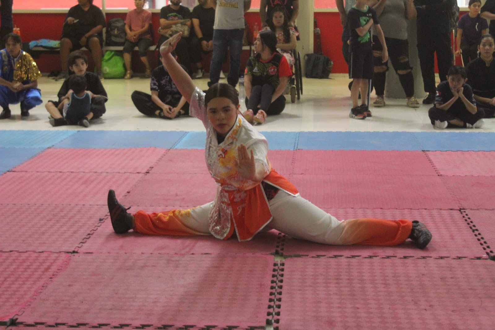 Se pudieron observar diversos estilos de artes marciales. (Especial)