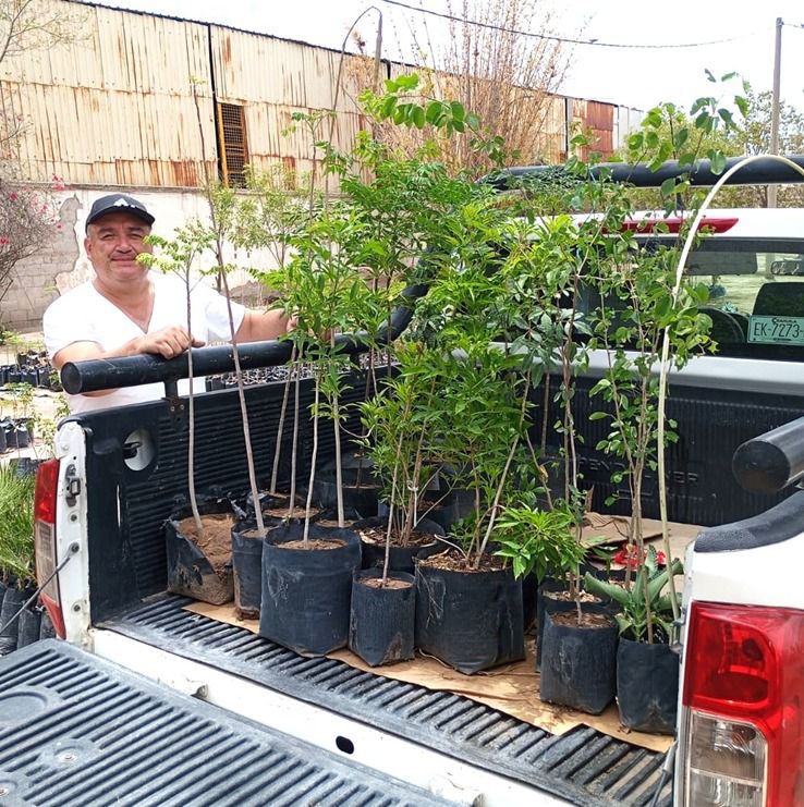 ¿Quieres un Gómez más verde? Entregan árboles nativos en el Parque La Esperanza