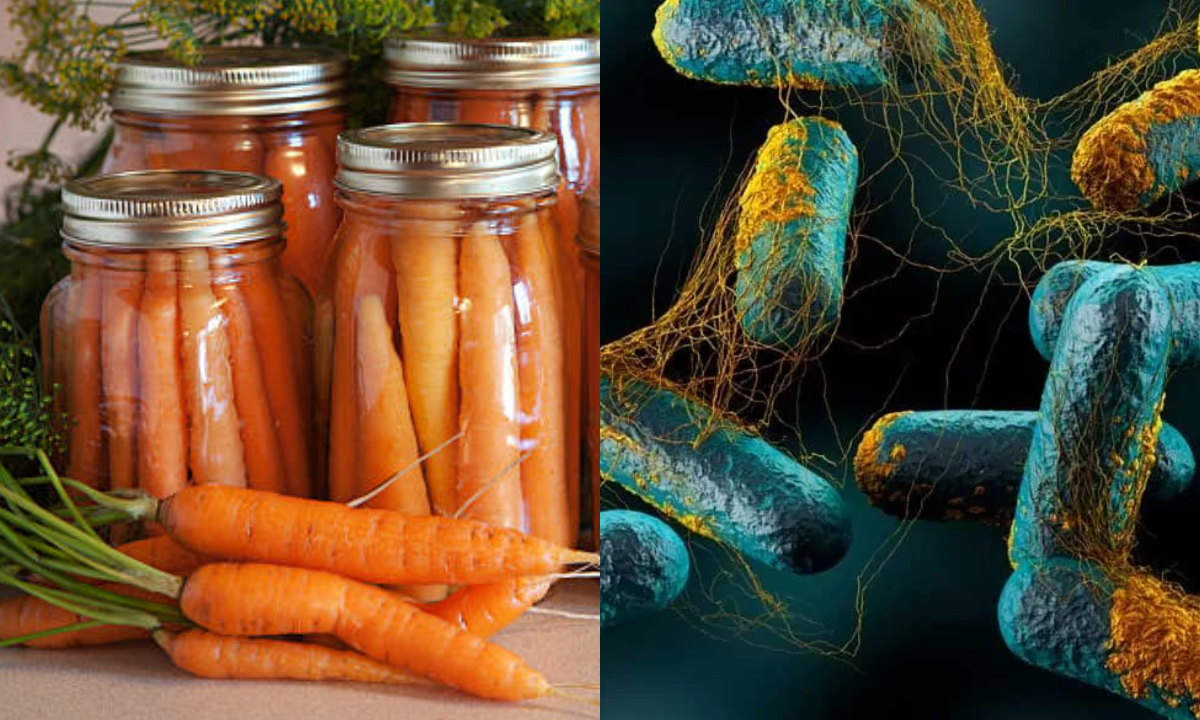 Seis personas contrajeron botulismo supuestamente por comer zanahorias enlatadas