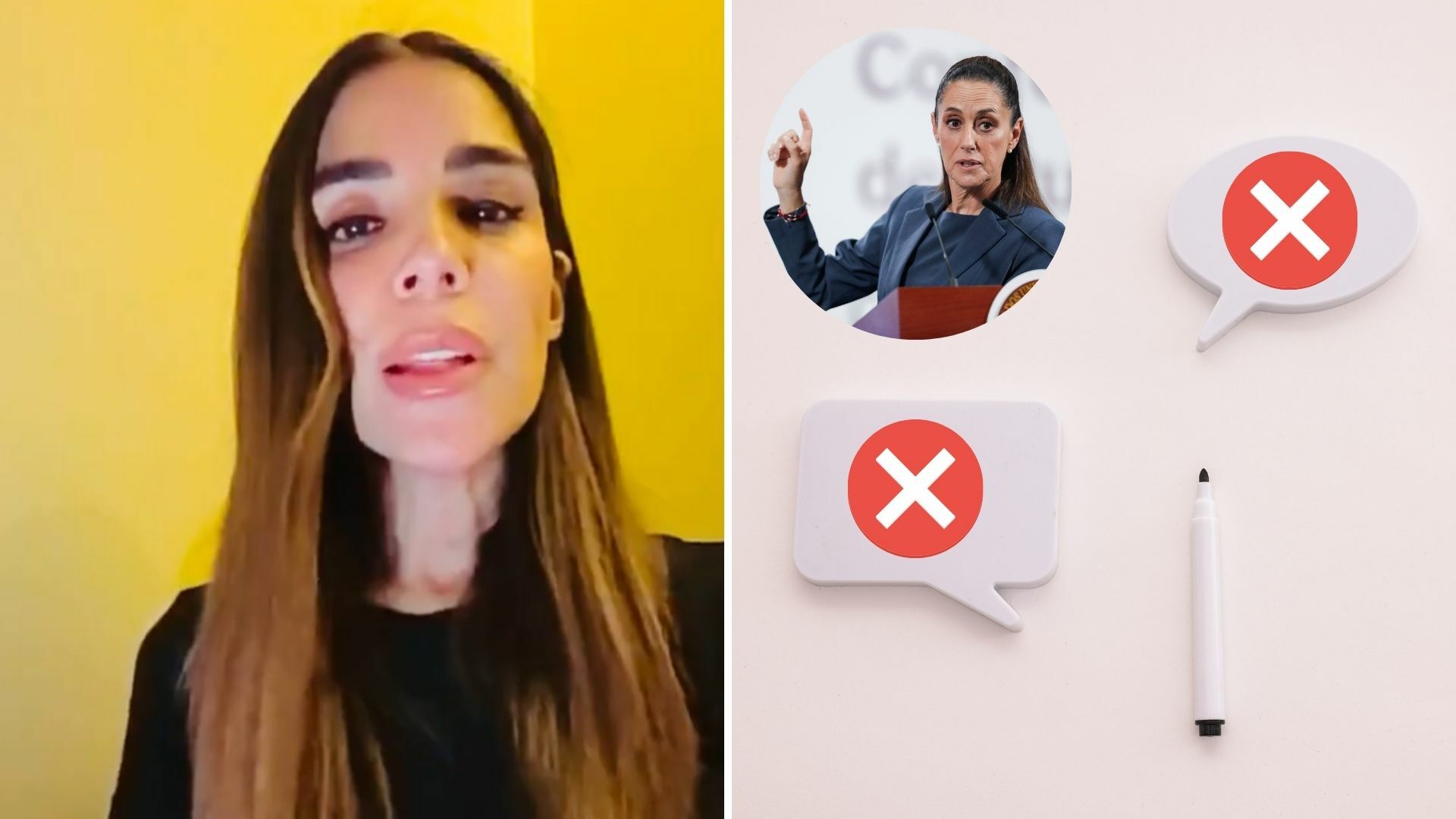 La diputada del PT Diana Karina Barreras Samaniego. (ARCHIVO/ESPECIAL)