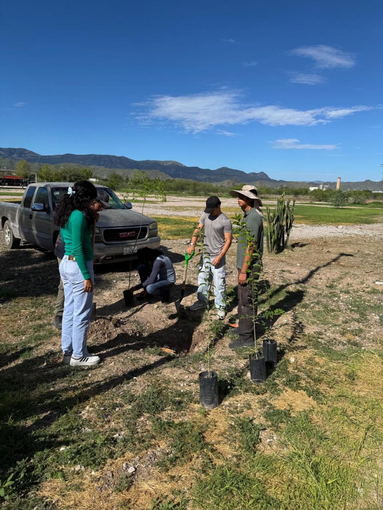 Medio Ambiente de Lerdo planta árboles en UTDL.