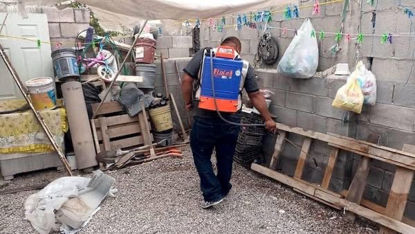 Intensifican operativos para prevenir dengue en Gómez Palacio