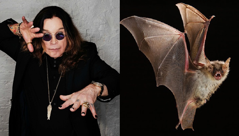Ozzy Osbourne / Murciélago (ESPECIAL)