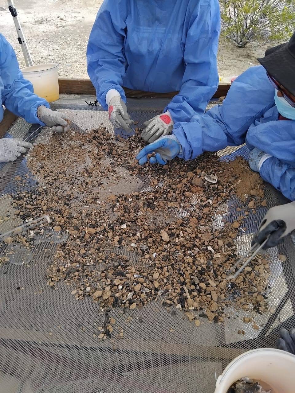 Ubican siete puntos de fosas clandestinas en municipios de La Laguna