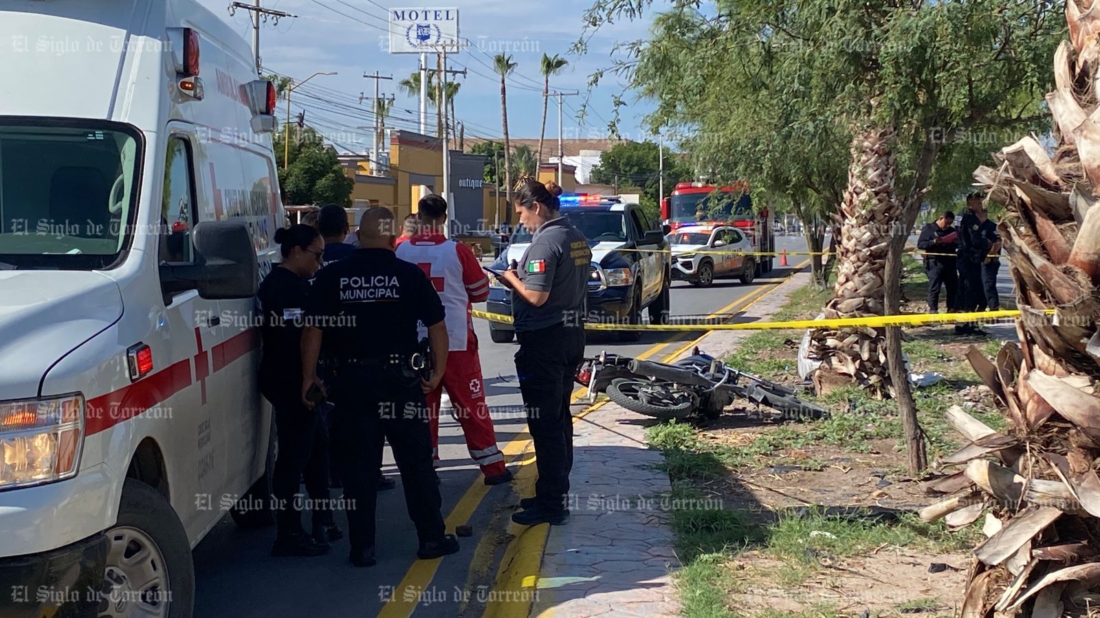 Motociclista pierde la vida al impactarse contra luminaria y palma, en Torreón