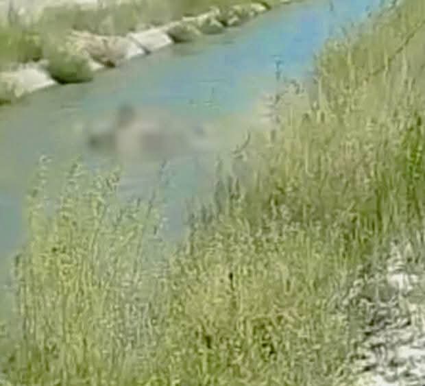 Localizan cuerpo sin vida flotando en canal de riego de Mapimí